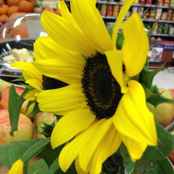 Photo taken at Whole Foods Market by Gary M. on 10/15/2012