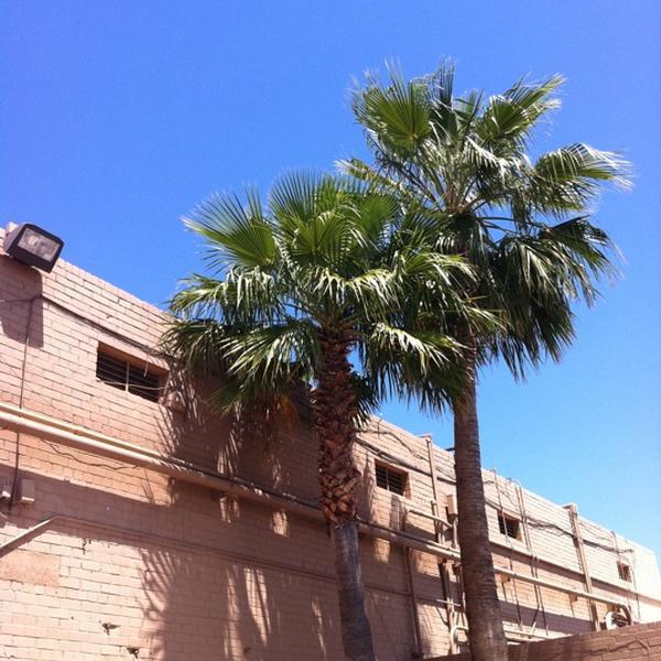 Photo taken at Whole Foods Market by Stephanie Nicole M. on 4/22/2012