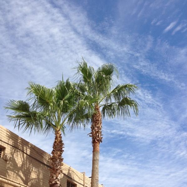 Photo taken at Whole Foods Market by Stephanie Nicole M. on 10/6/2012