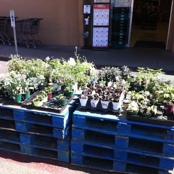 Photo taken at Whole Foods Market by Stephanie Nicole M. on 3/1/2012