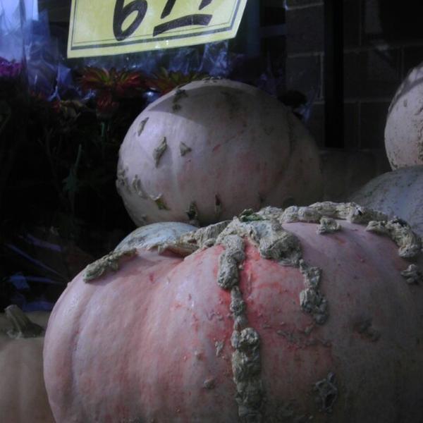 Photo taken at Trader Joe's by Chris E. on 10/20/2014