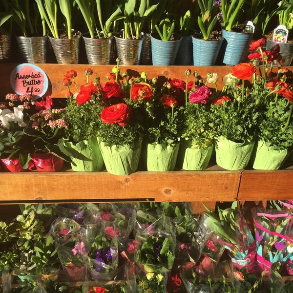 Photo taken at Trader Joe's by SibeLA ' on 2/12/2015