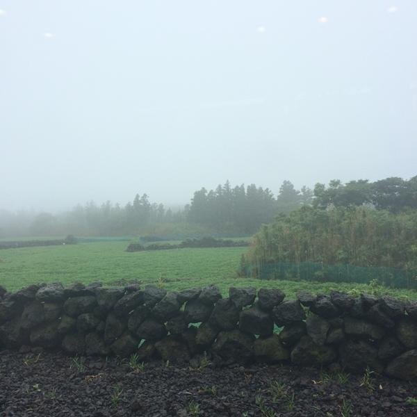 Photo taken at 올리브카페 Olive Cafe by Ah reum H. on 8/14/2014-济州西归浦市119号 OliveYoung美妆店 Photo taken at 올리브카페 Olive Cafe by Ah reum H. on 8/14/2014