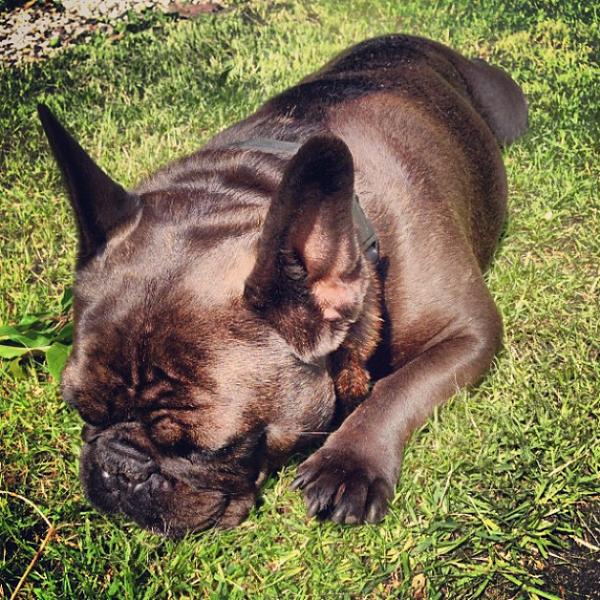 Photo taken at Albert Heijn by Patrick d. on 6/14/2013-荷兰格罗宁根瑞杰克斯路129A Photo taken at Albert Heijn by Patrick d. on 6/14/2013