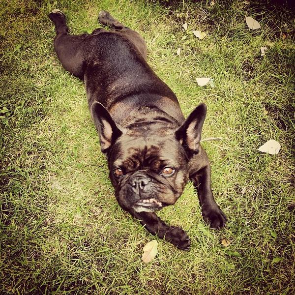 Photo taken at Albert Heijn by Patrick d. on 7/9/2013-荷兰格罗宁根瑞杰克斯路129A Photo taken at Albert Heijn by Patrick d. on 7/9/2013