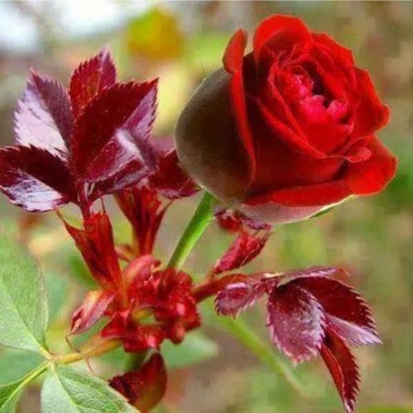 Photo taken at ICA Supermarket - Ekershallen by Taxi O. on 5/31/2014-瑞典厄勒布鲁省厄勒布鲁厄科斯路14号 Photo taken at ICA Supermarket - Ekershallen by Taxi O. on 5/31/2014