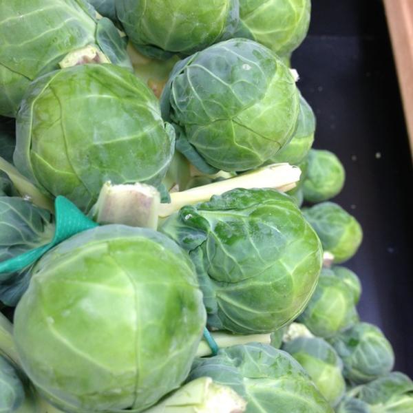 Photo taken at Trader Joe's by Gary M. on 10/13/2012-美国阿利桑那州图森格兰特路东4766 Photo taken at Trader Joe's by Gary M. on 10/13/2012