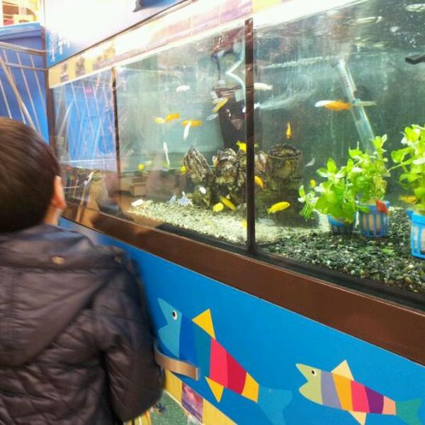 Photo taken at 롯데마트 (LOTTE Mart) by 승훈 이. on 3/9/2012