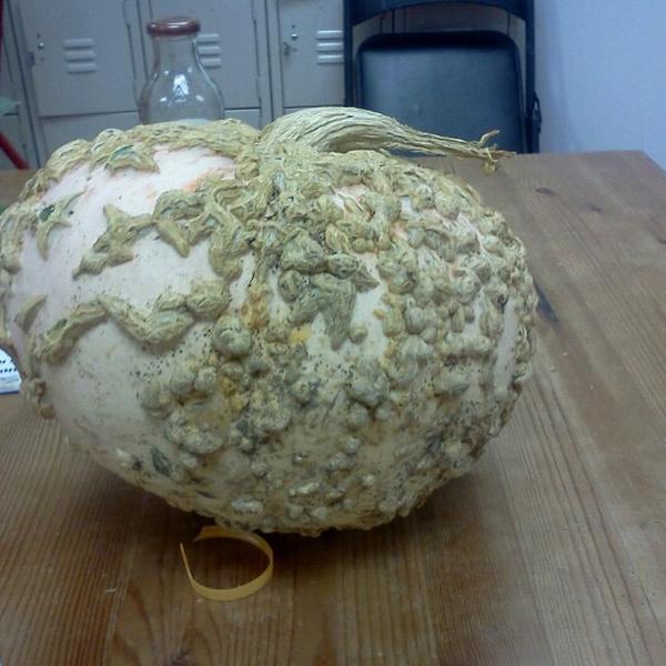 Photo taken at Trader Joe's by Tye A. on 9/22/2012