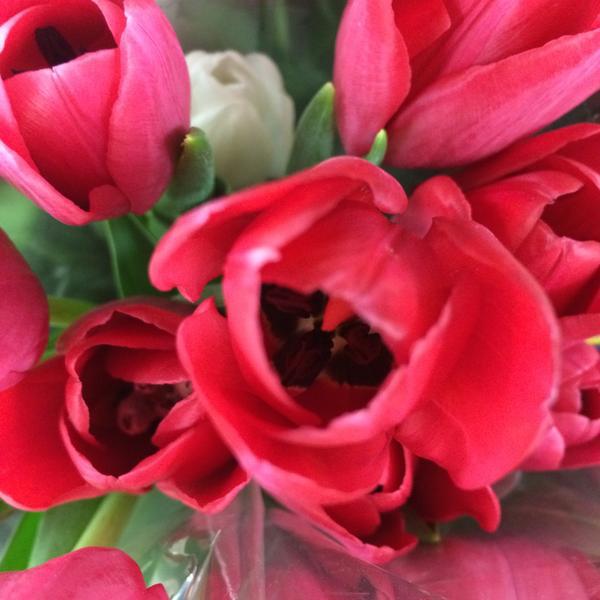 Photo taken at Trader Joe's by Jacki P. on 12/20/2014