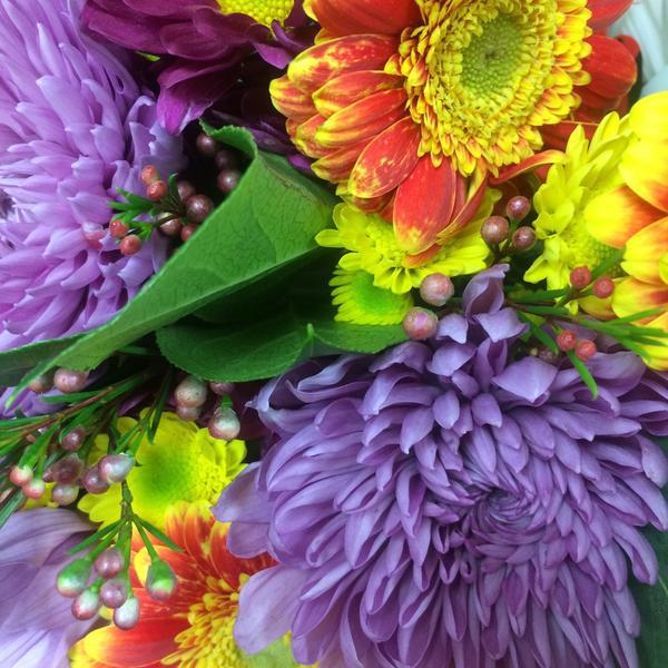 Photo taken at Trader Joe's by Jacki P. on 1/30/2015-美国加利福尼亚州雷东多海滩埃琳娜大道南1761 Photo taken at Trader Joe's by Jacki P. on 1/30/2015