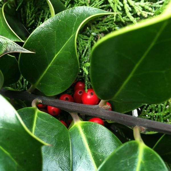 Photo taken at Trader Joe's by Michelle M. on 12/9/2012