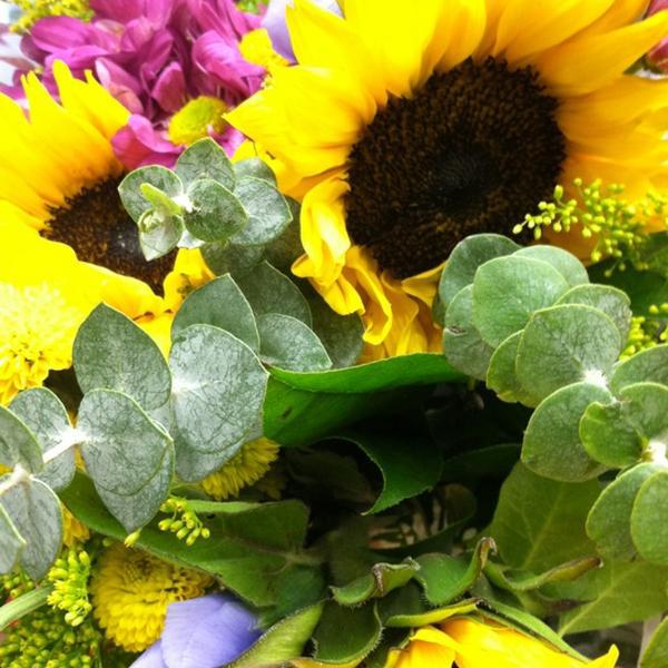 Photo taken at Trader Joe's by Michelle M. on 10/20/2012