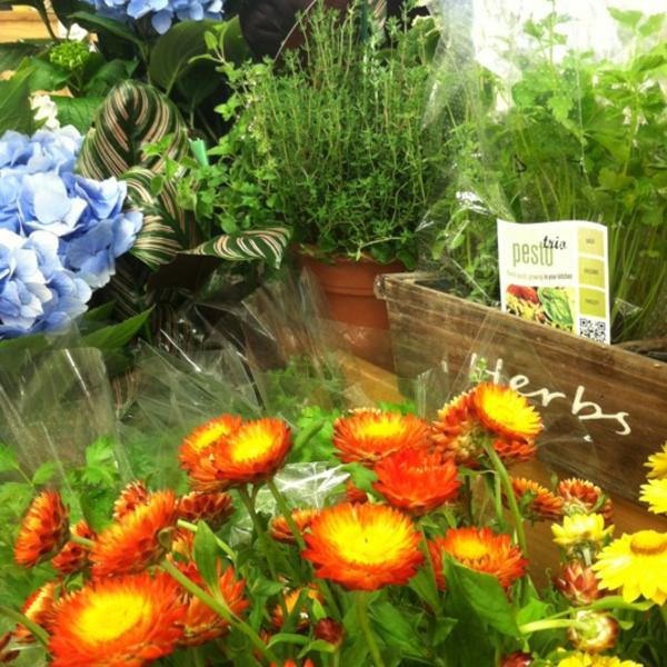 Photo taken at Trader Joe's by Michelle M. on 7/5/2012