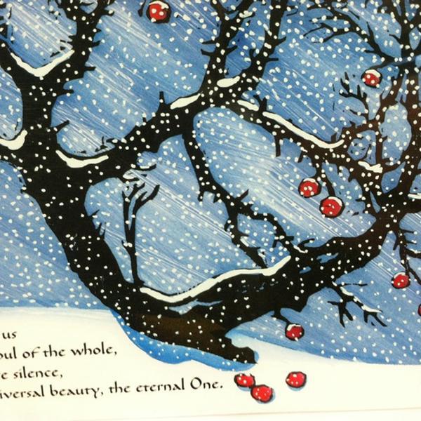 Photo taken at Trader Joe's by Michelle M. on 11/24/2012