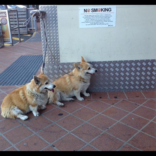 Photo taken at Woolworths by Kristen K. on 10/23/2013