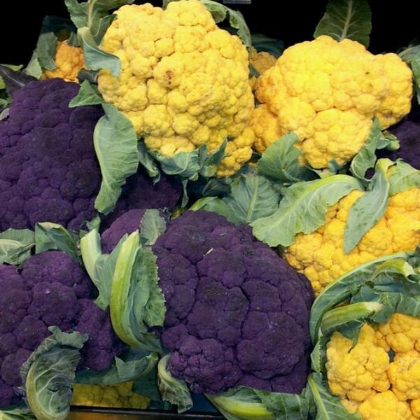 Photo taken at Whole Foods Market by Mark P. on 6/16/2012