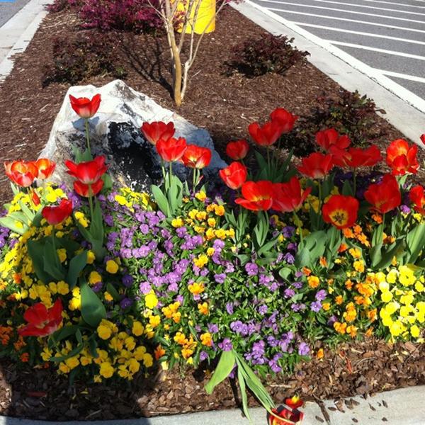 Photo taken at Whole Foods Market by Pamela R. on 3/13/2012-乔治亚州德卢斯州桥路5945号 Photo taken at Whole Foods Market by Pamela R. on 3/13/2012