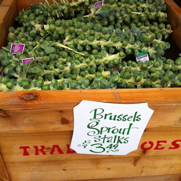 Photo taken at Trader Joe's by Steve F. on 11/2/2012