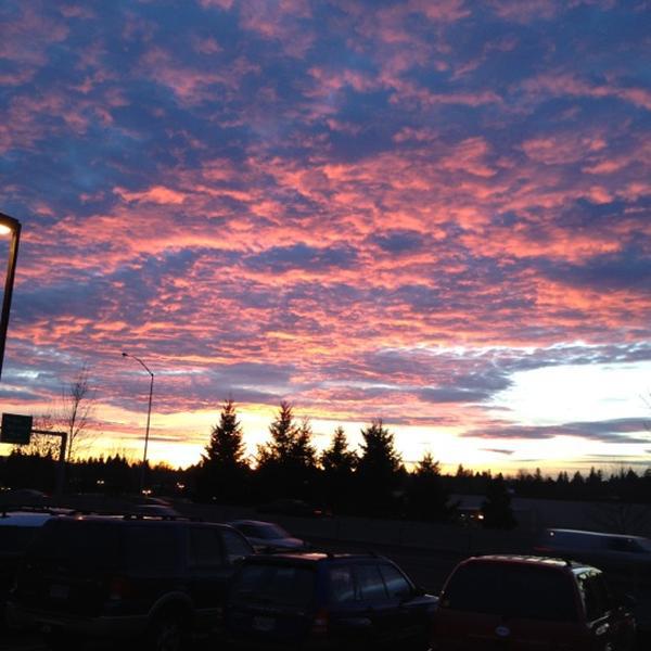 Photo taken at Trader Joe's by Jorji J. on 1/4/2012