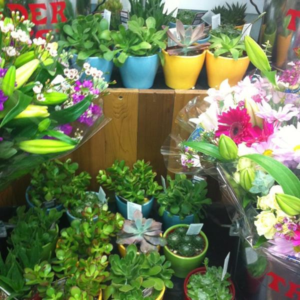 Photo taken at Trader Joe's by Afshan Shana T. on 3/6/2012