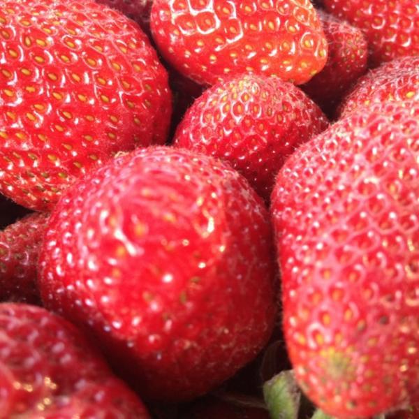 Photo taken at Trader Joe's by Michael Anthony on 7/14/2012