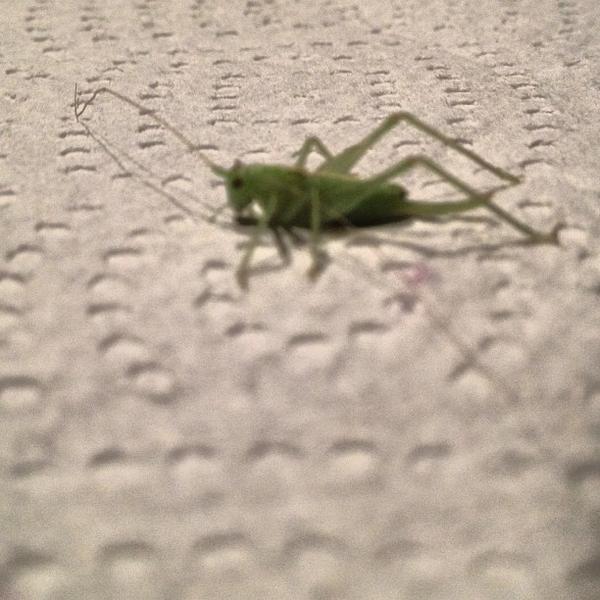 Photo taken at Carrefour by matias g. on 7/25/2013