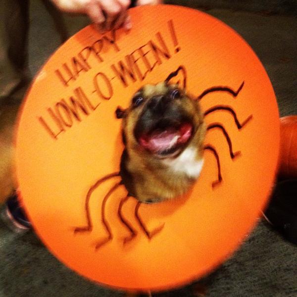 Photo taken at Whole Foods Market by Kate B. on 10/18/2012-奥勒冈州波特兰第28大道恩赛德东街2825号 Photo taken at Whole Foods Market by Kate B. on 10/18/2012