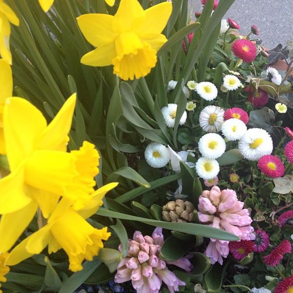 Photo taken at Loblaws by Fariba R. on 4/22/2013-加拿大多伦多圣克莱大道12圣克莱尔中心 Photo taken at Loblaws by Fariba R. on 4/22/2013