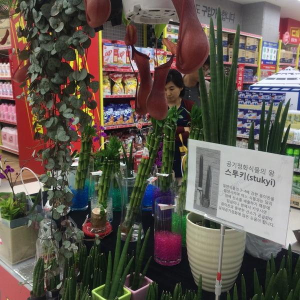 Photo taken at 홈플러스 (Home Plus) by Sole Mio o. on 5/10/2014-京畿道高阳市义山区1036 Photo taken at 홈플러스 (Home Plus) by Sole Mio o. on 5/10/2014