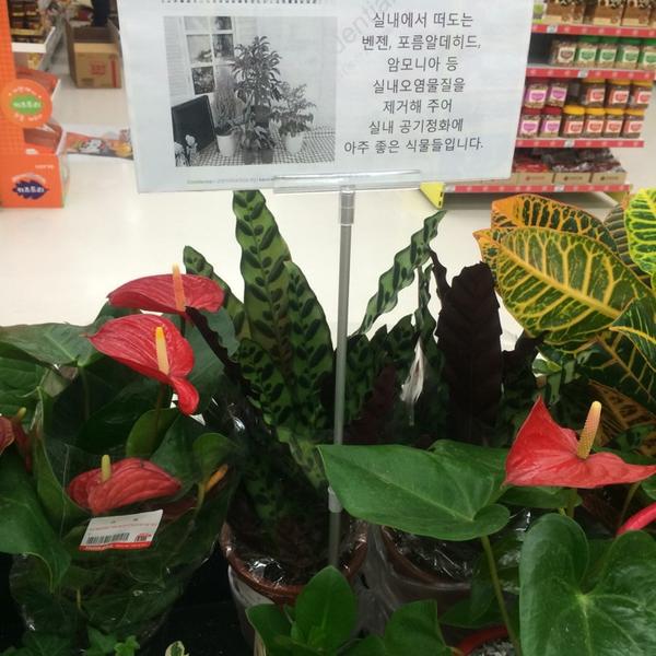 Photo taken at 홈플러스 (Home Plus) by Sole Mio o. on 5/10/2014-京畿道高阳市义山区1036 Photo taken at 홈플러스 (Home Plus) by Sole Mio o. on 5/10/2014