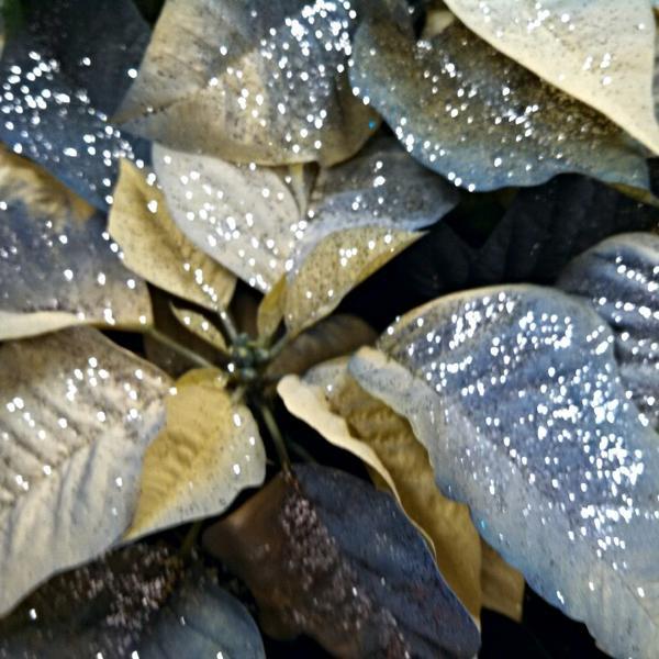 Photo taken at Wegmans by Kevin M. on 12/1/2013-美国纽约州锡拉丘兹奥内达加大道4722 Photo taken at Wegmans by Kevin M. on 12/1/2013