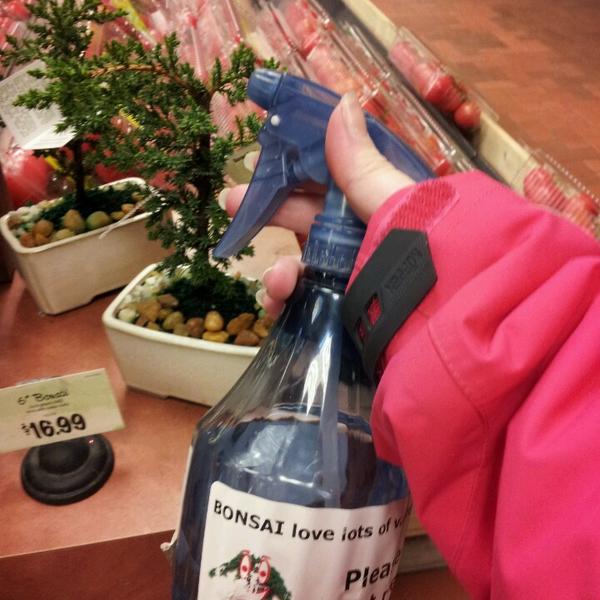 Photo taken at Wegmans by Jackie D. on 2/25/2013-美国纽约州锡拉丘兹奥内达加大道4722 Photo taken at Wegmans by Jackie D. on 2/25/2013