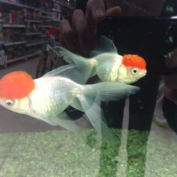 Photo taken at 홈플러스 (Home plus) by Nathaniel M. H. on 3/1/2015