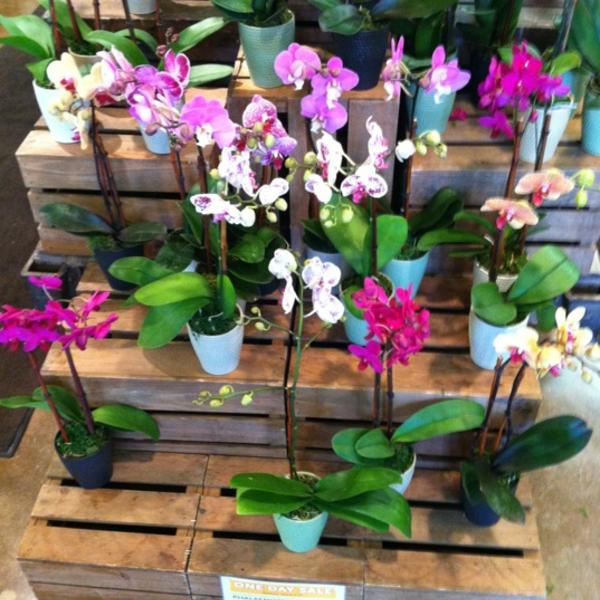 Photo taken at Whole Foods Market by Ruben L. on 4/27/2012