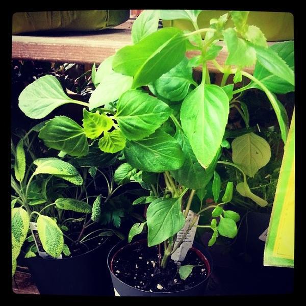 Photo taken at Trader Joe's by TheSaleem $. on 11/19/2013