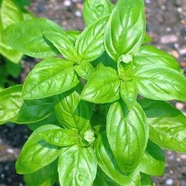 Photo taken at Mercadona Valdespartera by Israel on 1/13/2012