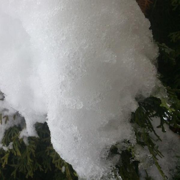 Photo taken at Kiwi by Wenche N. on 12/29/2012