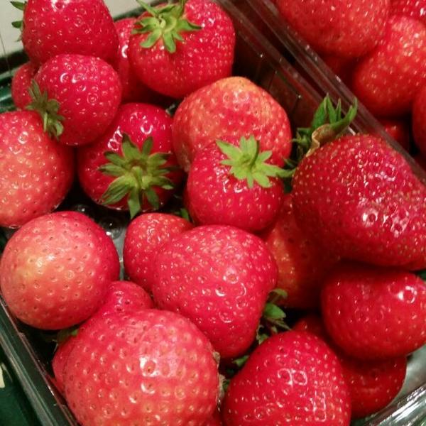 Photo taken at EDEKA-Center Gronemann by Tino S. on 6/20/2014