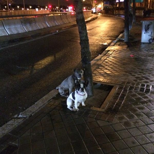 Photo taken at Mercadona by Chete on 2/4/2014