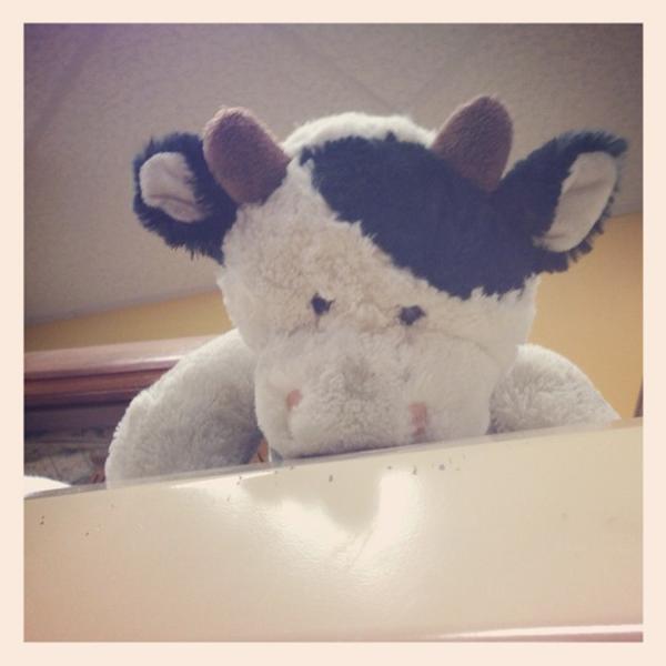 Photo taken at Trader Joe's by Chris G. on 12/10/2012