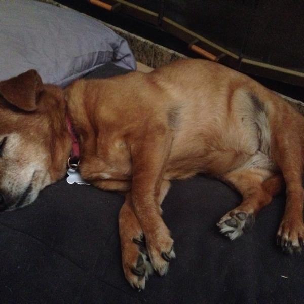 Photo taken at Trader Joe's by Miss K. on 6/13/2014