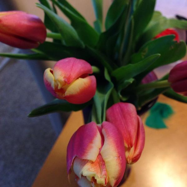 Photo taken at Trader Joe's by Duyen F. on 10/15/2014