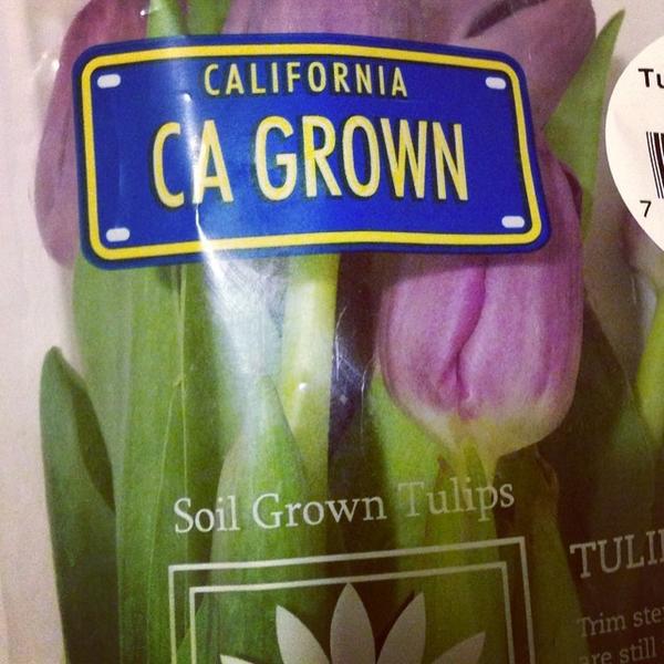 Photo taken at Trader Joe's by Duyen F. on 6/20/2014