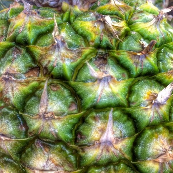 Photo taken at Trader Joe's by Shawn B. on 12/30/2013