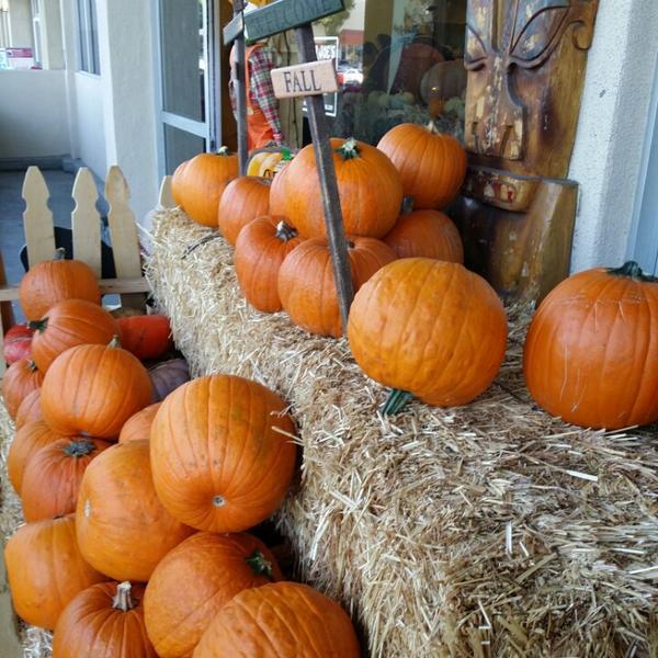 Photo taken at Trader Joe's by Diane P. on 10/25/2014