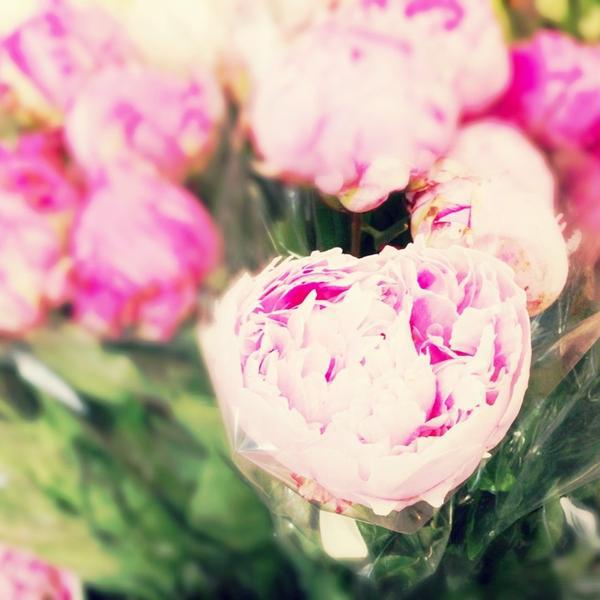 Photo taken at Trader Joe's by Rob M. on 6/9/2013