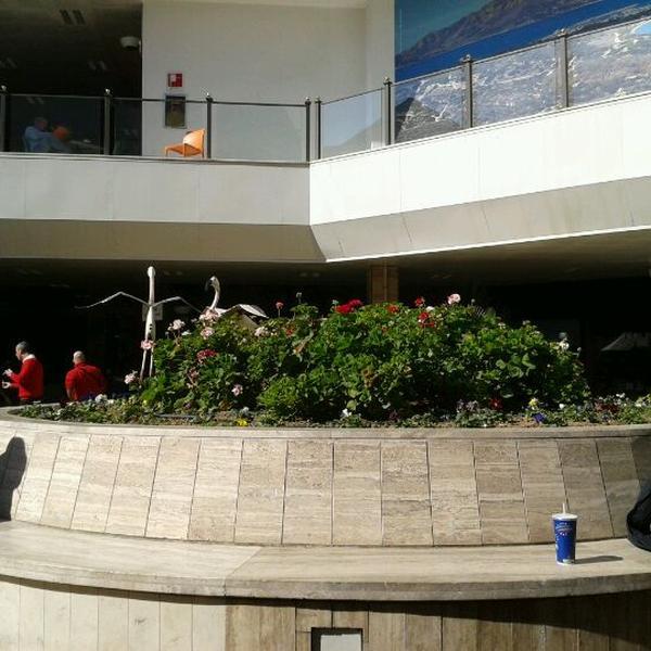 Photo taken at Auchan by Mattia C. on 2/29/2012-意大利撒丁岛卡利亚里圣西蒙娜路60 Photo taken at Auchan by Mattia C. on 2/29/2012