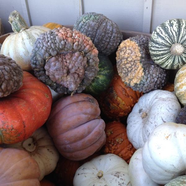Photo taken at Trader Joe's by @9ergirl on 10/22/2014