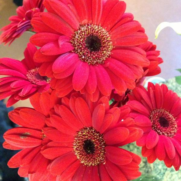 Photo taken at Trader Joe's by Deanna R. on 4/3/2013